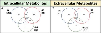 Advancements in CHO metabolomics: techniques, current state and evolving methodologies